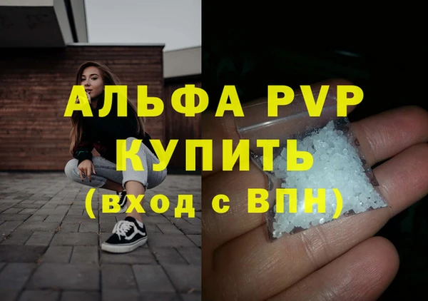 дживик Няндома