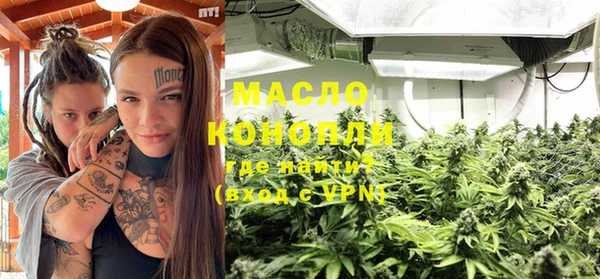 дживик Няндома