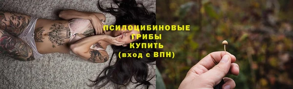 крисы Нязепетровск