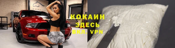 дживик Няндома