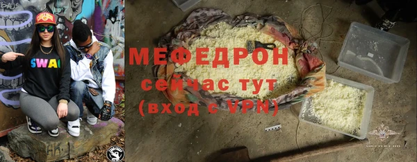 дживик Няндома