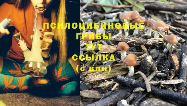 дживик Няндома