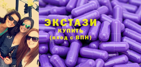 дживик Няндома
