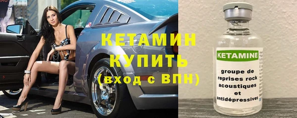 дживик Няндома