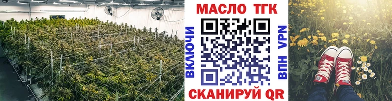 OMG сайт  Полевской  ТГК концентрат 