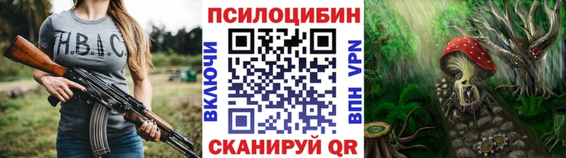 сколько стоит  Полевской  мега как войти  Галлюциногенные грибы мицелий 