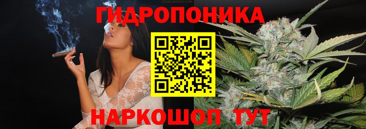 Марихуана планчик Полевской